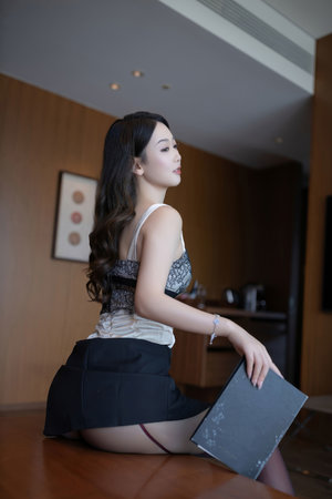 熊出没之猎鹰熊岛